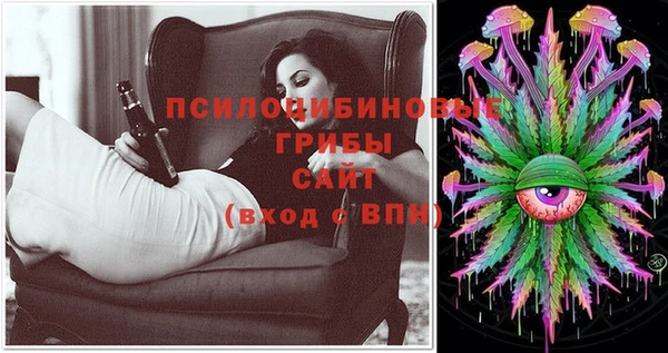 прущая мука Вяземский