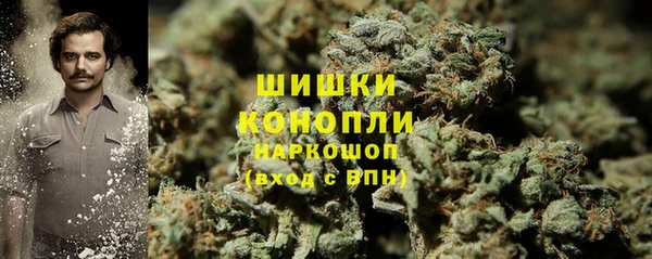 прущая мука Вяземский