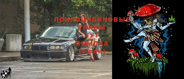 прущая мука Вяземский