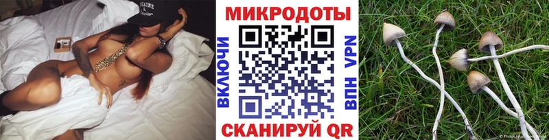 Галлюциногенные грибы Magic Shrooms  Оха 